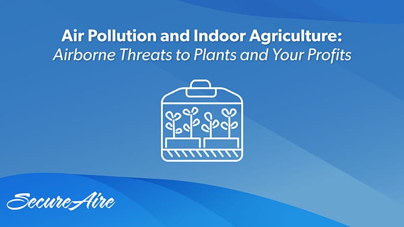 Air Pollution and Indoor Agriculture:  Airborne Threats to Plants and Your Profits